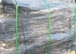 Πνευματικοί λαστιχένιοι αερόσακοι προώθησης σκαφών αποβαθρών με τα συνθετικά στρώματα σκοινιού ροδών προμηθευτής